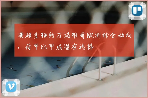 澳超金靴约万诺维奇欧洲转会动向,荷甲比甲成潜在选择