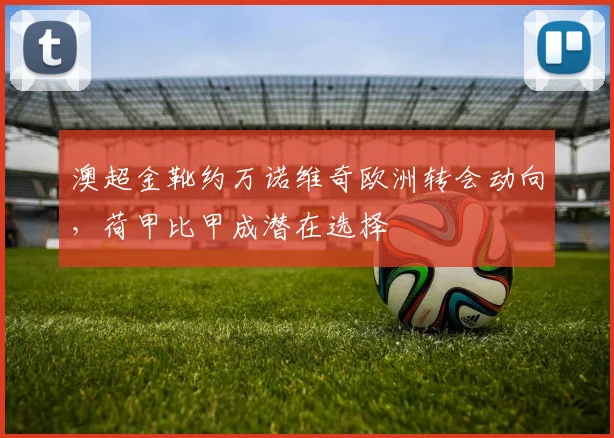澳超金靴约万诺维奇欧洲转会动向，荷甲比甲成潜在选择